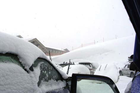 �䂬�����܂�ɋ����Ă��̂P�������B