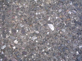 �J���b�Z���H�ʁ@���Ă��`�r�s�o�ɂ������悤�ȋC������