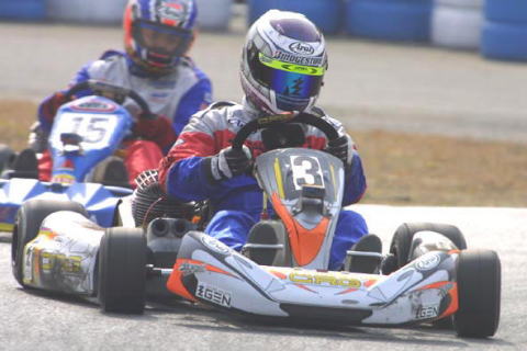 �q�r�@�f�d�m�̑��コ��