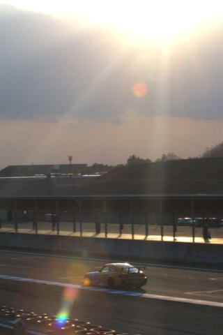 ���[�ʐ^���I