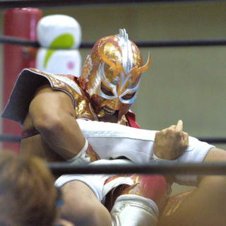 �E���e�B���E�h���S���̊֐ߋZ�ɃV�r����I