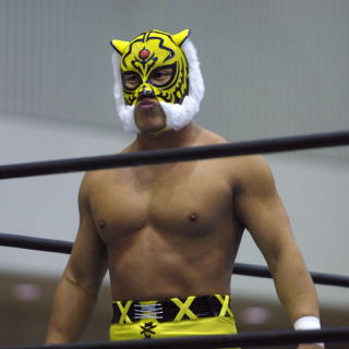 �^�C�K�[�}�X�N�I�@�S��ڂł��������H�H�H