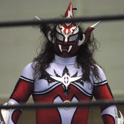 �b�_�T���_�[���C�K�[�I