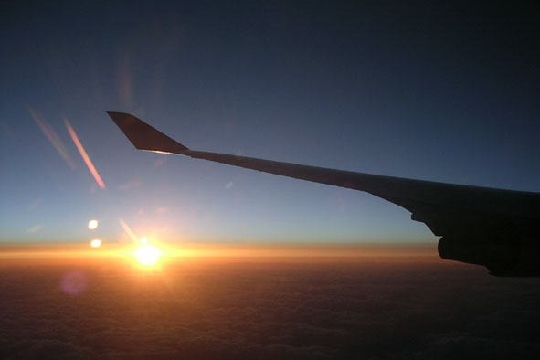 ����Ă��������F���̐F����Ȃ�