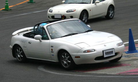 �^�C����]�����Ă�^���Œ��I