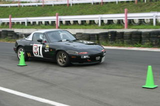 ��O�Ŏ~�܂���������i�΁j