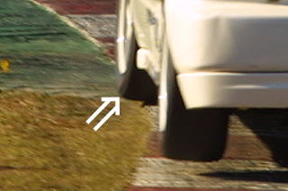 �͂ݏo�Ă���܂��I